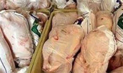 کشف بیش از یک تن مرغ فاسد در در فراهان کشف بیش از یک تن مرغ فاسد در در فراهان