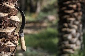 به نام کشاورز به کام دلال به نام کشاورز به کام دلال