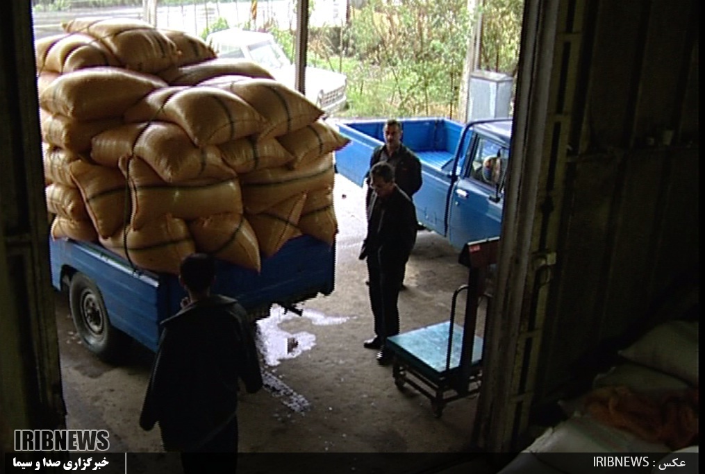 زدودن گرد فرسودگی از چهره شالیکوبی ها به کجا کشید ؟ زدودن گرد فرسودگی از چهره شالیکوبی ها به کجا کشید ؟