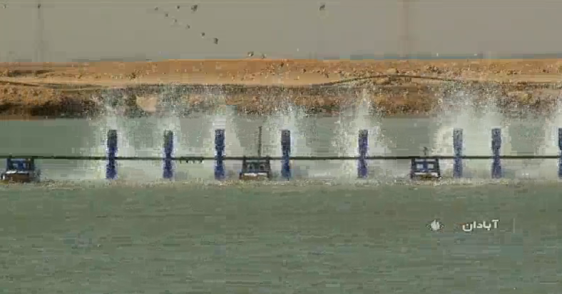 لبخند در دل بیابان