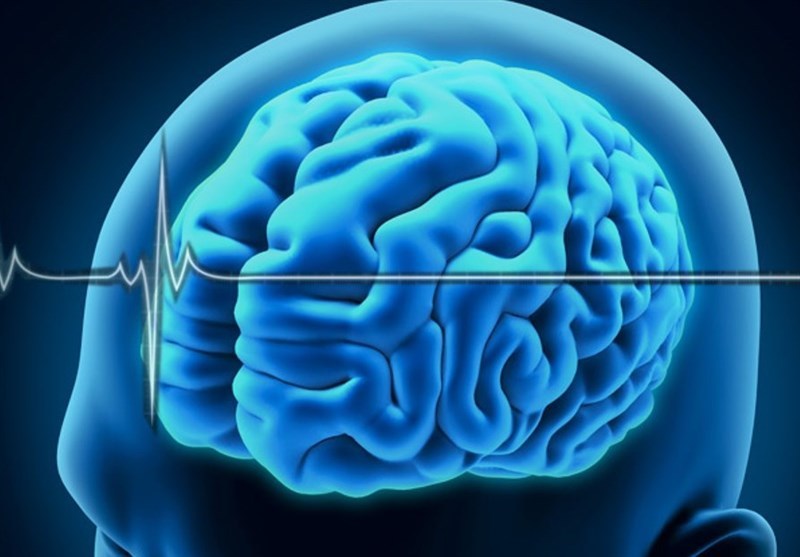 بررسی آخرین یافته‌های نوروتکنولوژی در همایش بین المللی علوم اعصاب