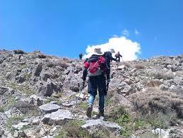 درباره اجازه شوهر به همسر قانونگذاری نکردیم