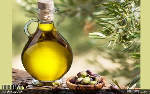 روغن زیتون گیلان، پیشرو در تولید اما در گیرو دار مشکلات روغن زیتون گیلان، پیشرو در تولید اما در گیرو دار مشکلات