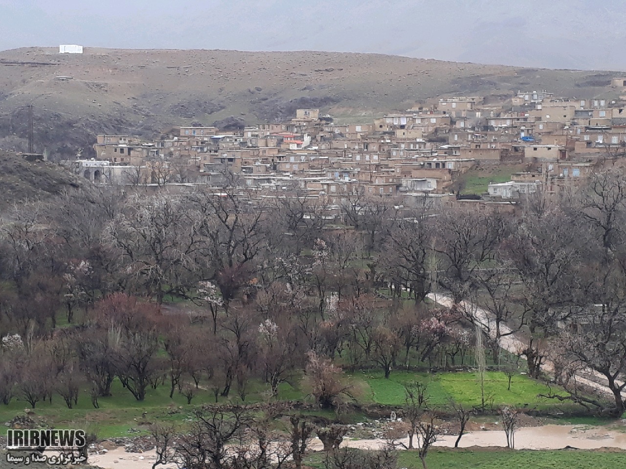 طبیعت زیبای بهاری بخش بایگ تربت حیدریه | خبرگزاری صدا و سیما