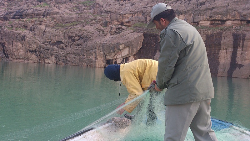 جمع آوری تور ماهیگیری غیر مجاز جمع آوری تور ماهیگیری غیر مجاز