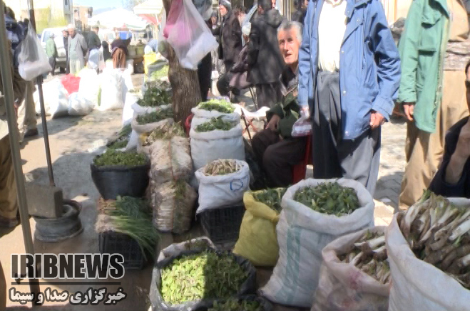 مهمان سفره طبیعت با بهار