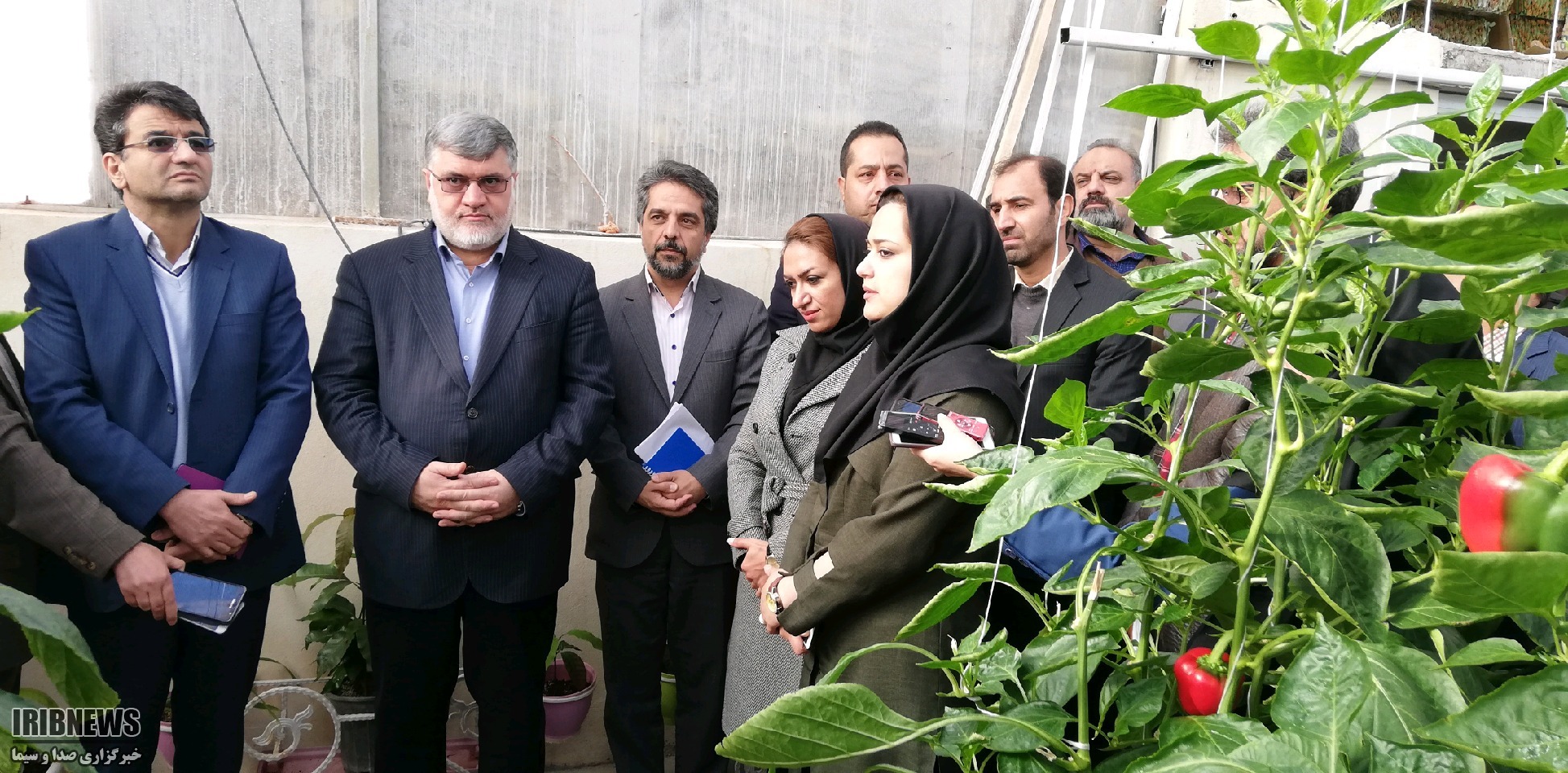 بررسی مشکلات و موانع  پیش روی  گلخانه داران خراسان جنوبی