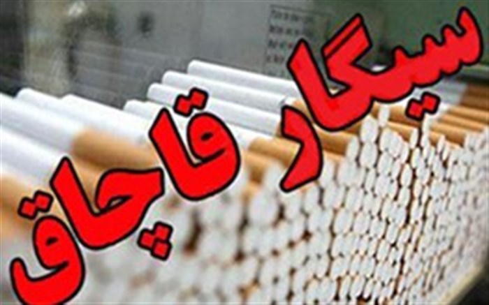 کشف بیش از ۳۳۱ هزار نخ سیگارقاچاق در طبس