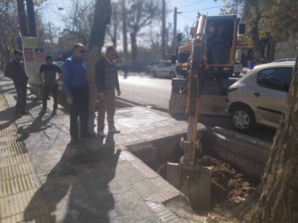 کاشت بیش از ۱۱ هزار اصله درخت در معابر شهرداری منطقه یک کاشت بیش از ۱۱ هزار اصله درخت در معابر شهرداری منطقه یک