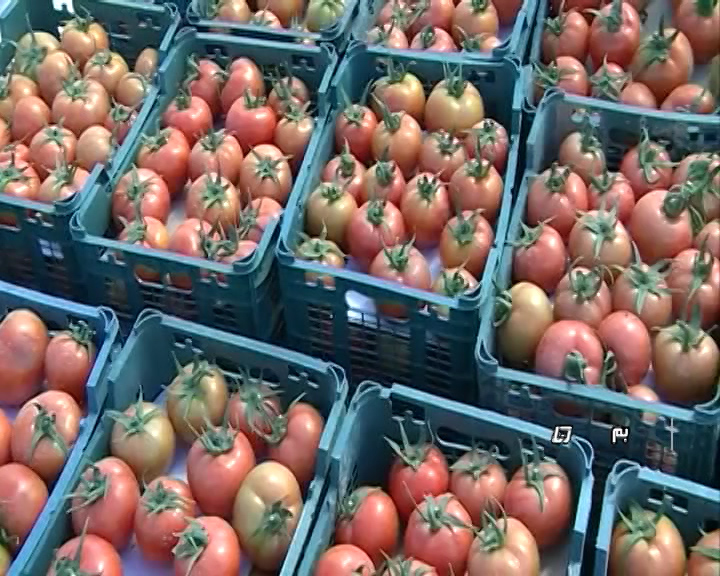 اینجا هند ایران است