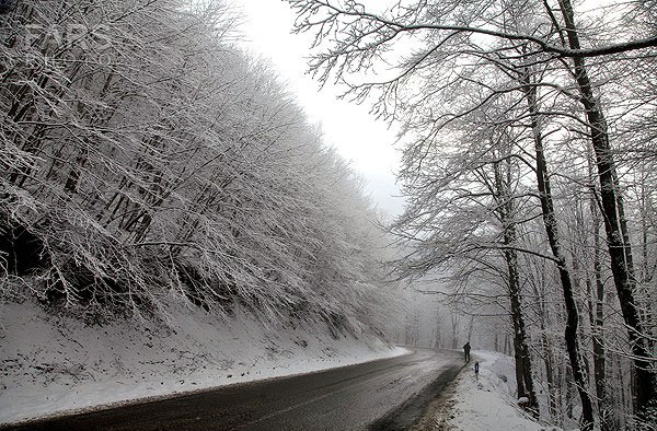 طبعیت برفی ديلمان + تصاویر