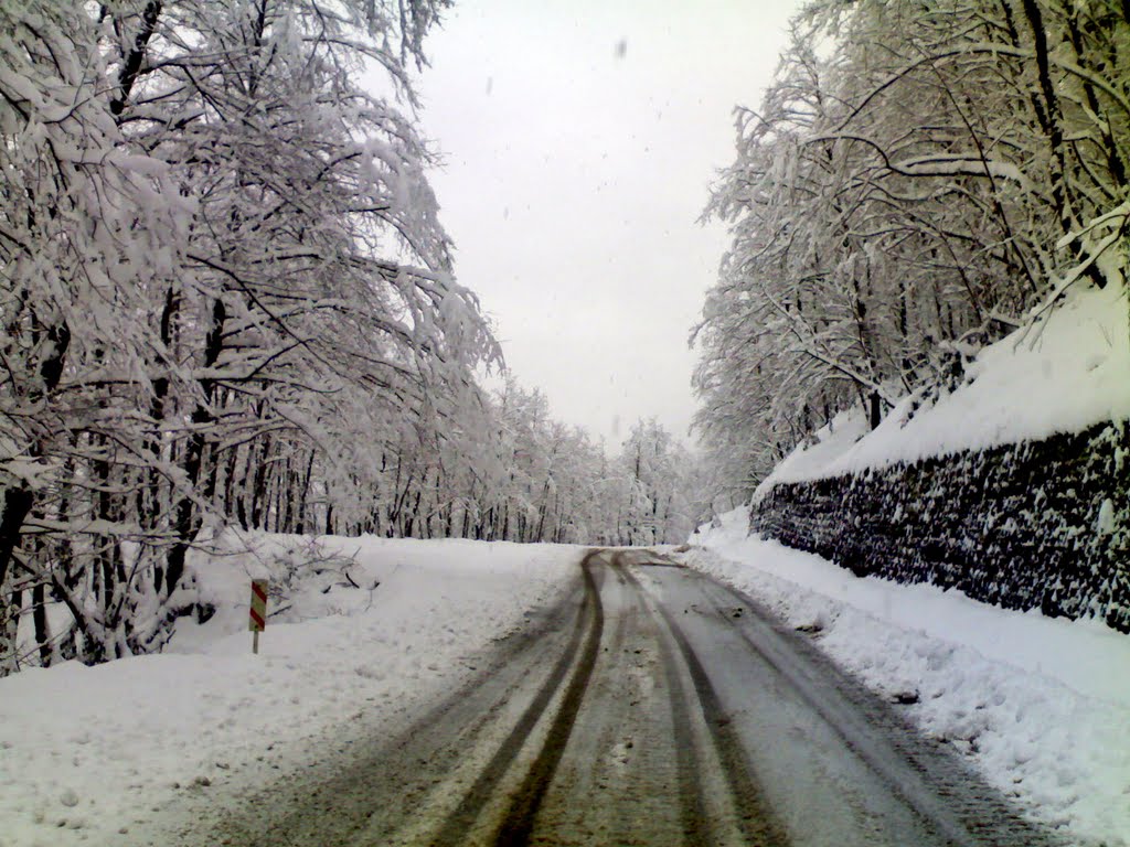 طبعیت برفی ديلمان + تصاویر