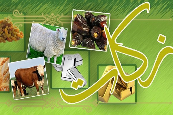 رشد ۶۸ درصدی پرداخت زکات در فارس رشد ۶۸ درصدی پرداخت زکات در فارس