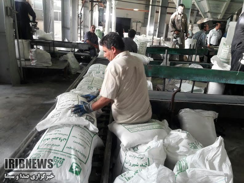 حکایت تلخ قند یاسوج