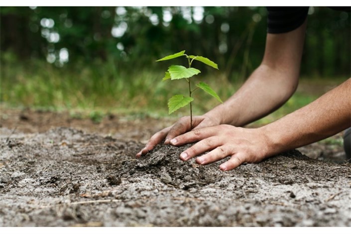 کاشت ۱۰ هزار درختچه در یاسوج