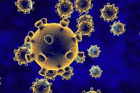 اجرای اقدامات پیشگیرانه از شیوع کرونا در مناطق مختلف خراسان رضوی اجرای اقدامات پیشگیرانه از شیوع کرونا در مناطق مختلف خراسان رضوی