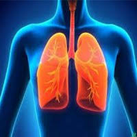 لزوم تقویت دستگاه تنفسی برای مقابله با کرونا لزوم تقویت دستگاه تنفسی برای مقابله با کرونا