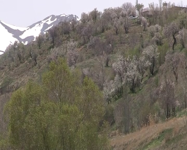 روستای آغچه ، از مناطق گردشگری بوئین میاندشت | خبرگزاری صدا و سیما