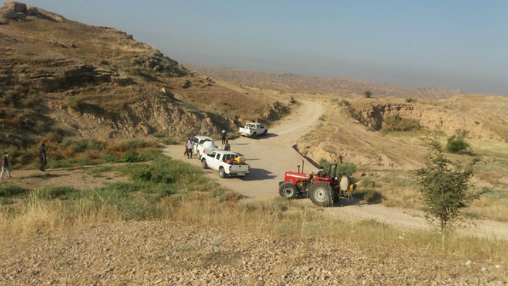 سم پاشی ۳۰۰ هکتار از مراتع گچساران علیه آفت ملخ