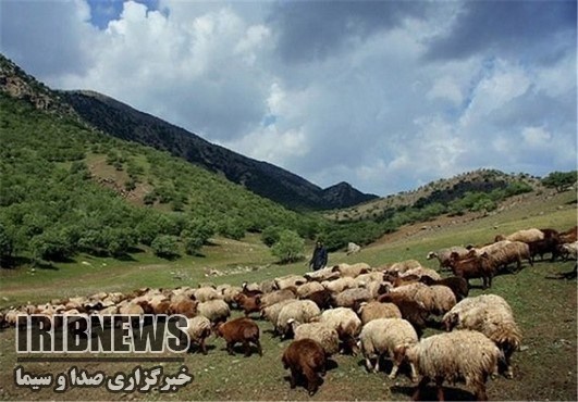 واگذاری بیش از 50 هزار هکتار مراتع به بهره برداران مهاباد واگذاری بیش از 50 هزار هکتار مراتع به بهره برداران مهاباد
