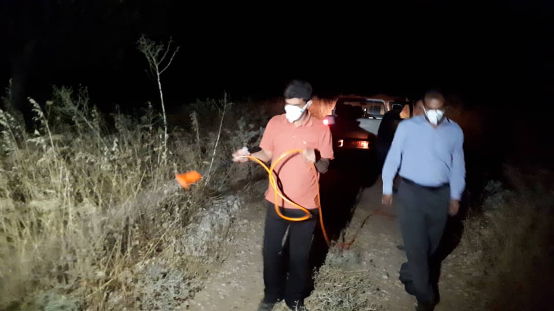 آغاز سمپاشی باغات ومزارع برای مبارزه به آفت ملخ