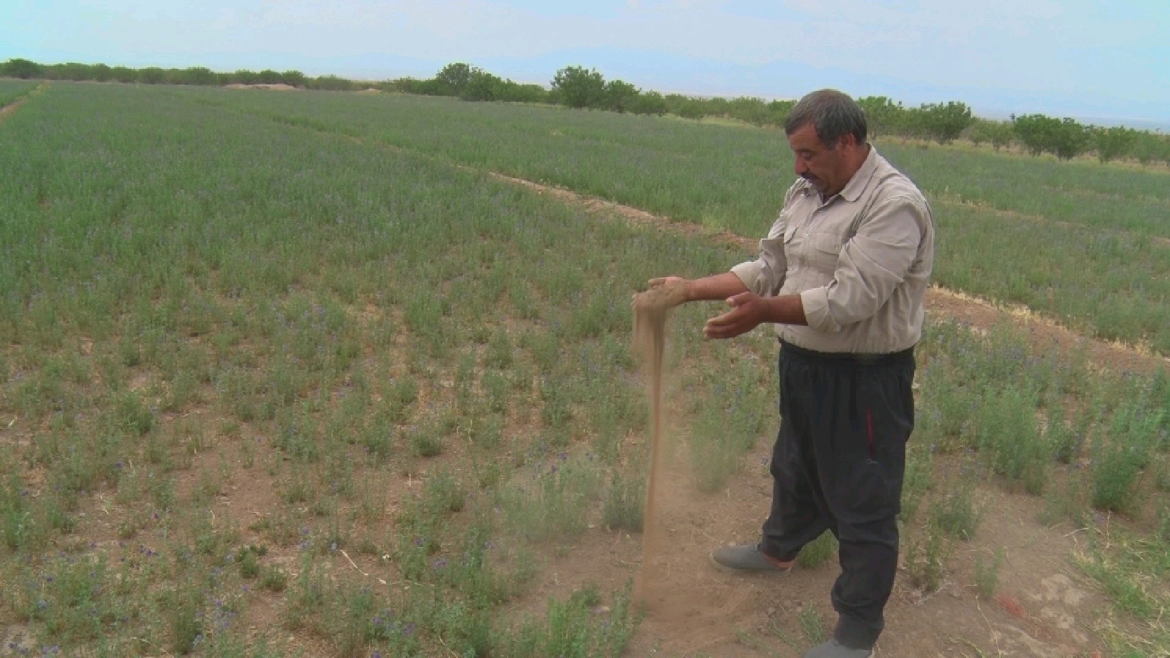 حاج حیدر کیمیاگری که خاک کویر را به زر تبدیل کرد.