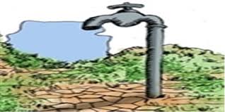 گزارش مکتوب: دشت شهرکرد از نابودی تا تلاش برای احیاء