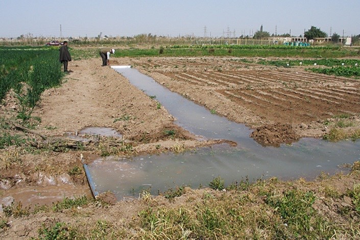 سبزیکاری با آب آلوده ممنوع سبزیکاری با آب آلوده ممنوع