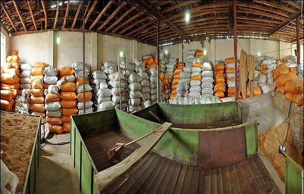 بهسازی شالیکوبی ها راهکاری برای کاهش ضایعات برنج