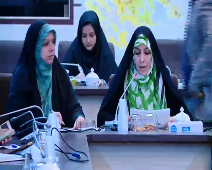 فعالیت ۱۳۵ سمن در حوزه زنان وخانواده