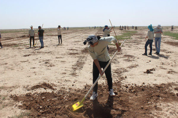 سرنوشت تلخ (در حال تکمیل)