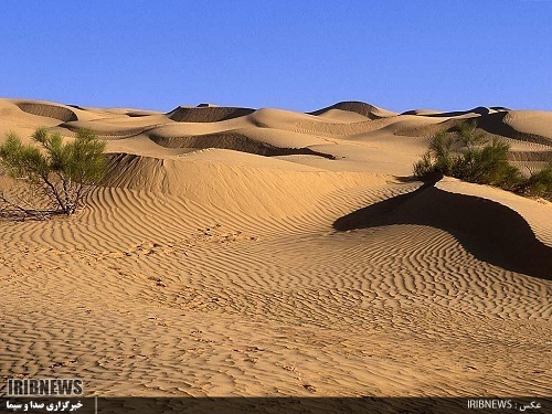 سرنوشت تلخ (در حال تکمیل)