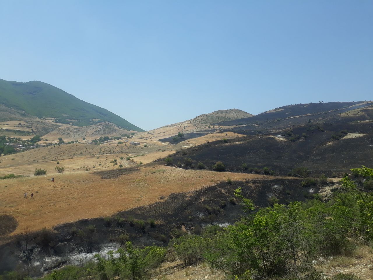 مهار آتش مراتع و مزارع نوجه ده