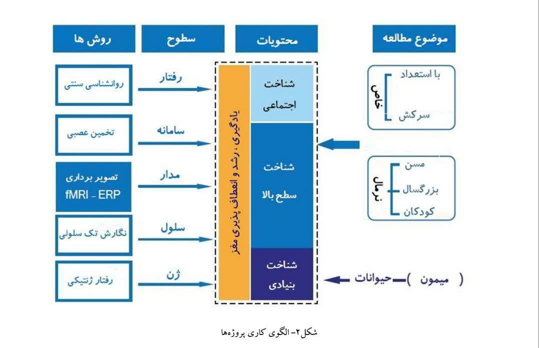 تحلیل نقش افراد و سازمان‌ها در پروژه BAM