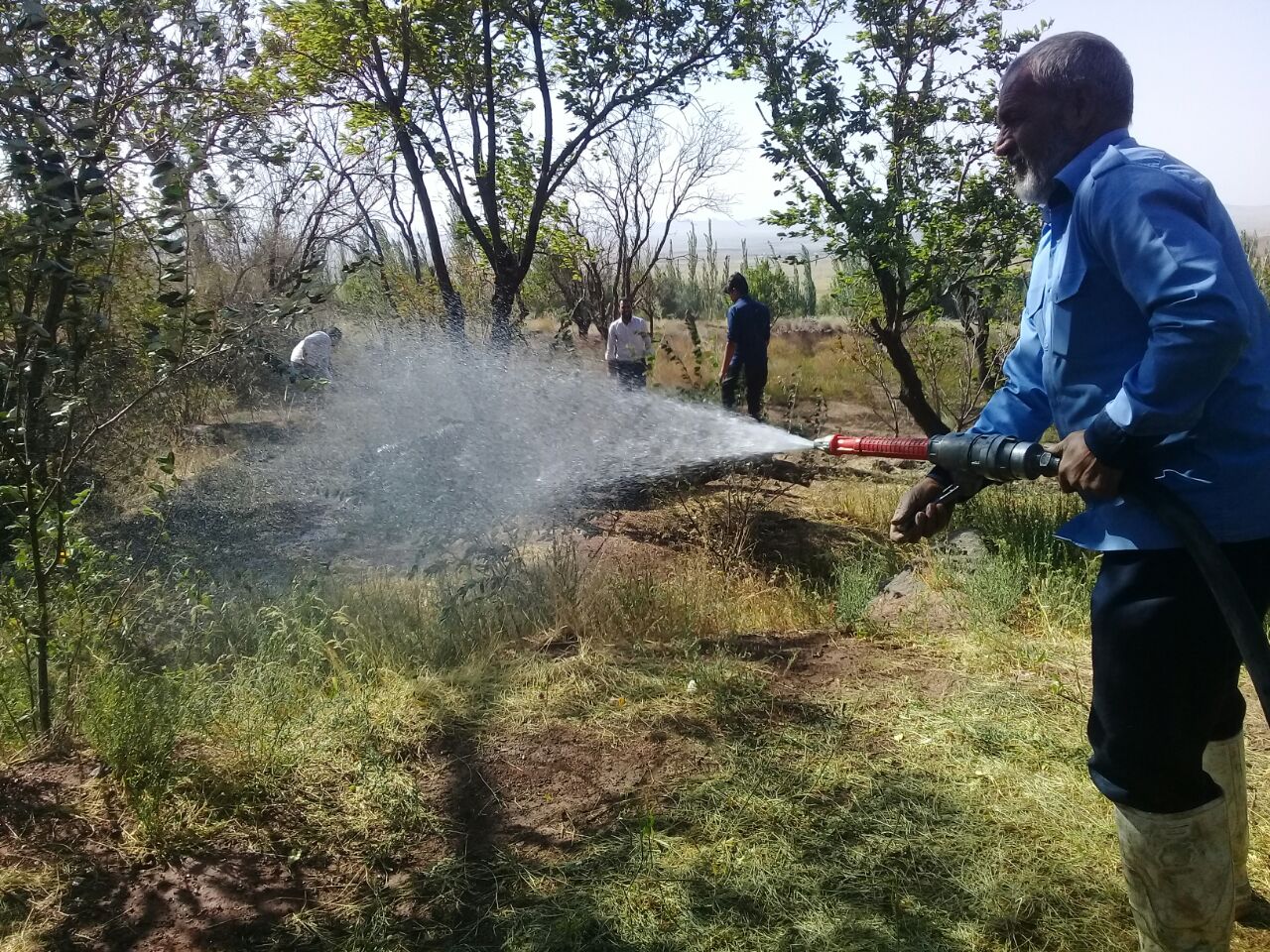 سوختن بخشی از درختان منطقه ییلاقی، گردشگری و زیارتی روستای غنچی بخش رخ سوختن بخشی از درختان منطقه ییلاقی، گردشگری و زیارتی روستای غنچی بخش رخ