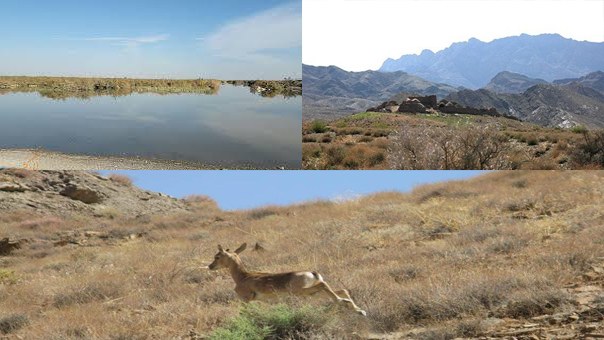 پربازدید ترین اخبار استان در ششم  مرداد