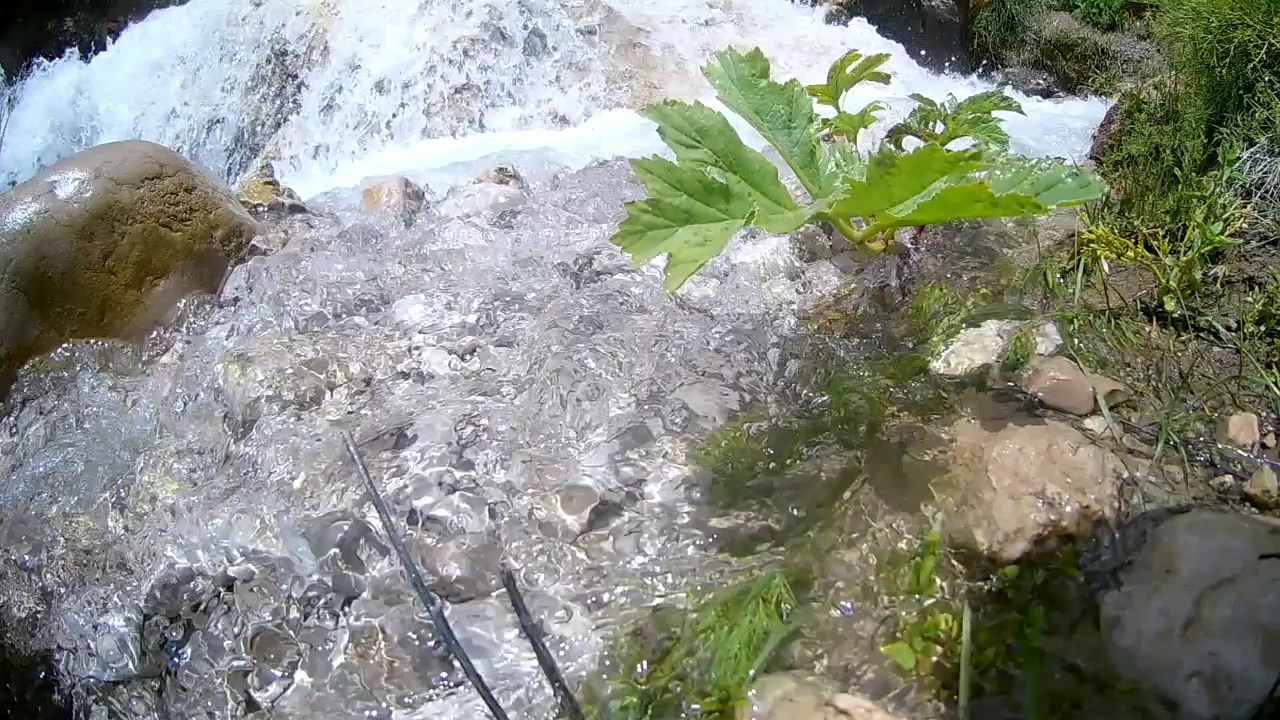 پربازدید ترین اخبار استان در ششم  مرداد