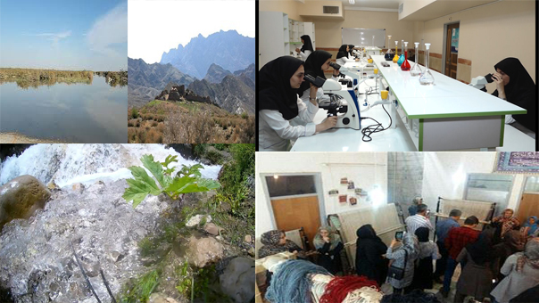 پربازدید ترین اخبار استان در ششم  مرداد