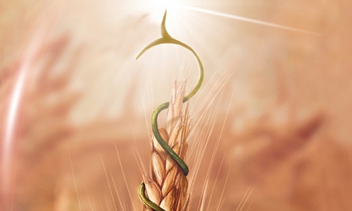 برکت اموال برکت اموال