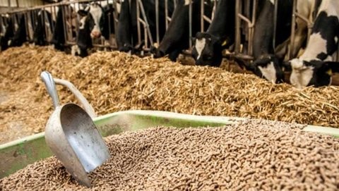 توزیع نهاده‌های دامی در واحدهای دام و طیور