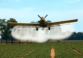 مرحله جدید مبارزه با آفت ملخ در مزارع نیشکر خوزستان مرحله جدید مبارزه با آفت ملخ در مزارع نیشکر خوزستان