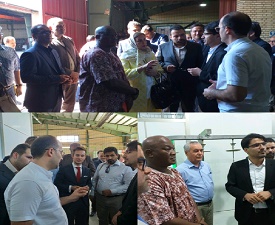 پربیننده‌ترین خبر‌های استان‌ها