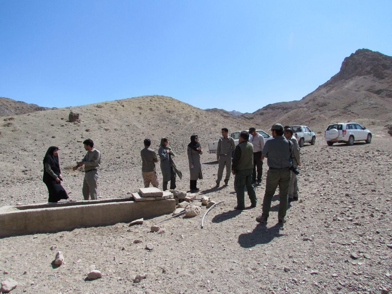 بررسی شرایط تکثیر یوزپلنگ آسیایی در پناهگاه دره انجیر اردکان بررسی شرایط تکثیر یوزپلنگ آسیایی در پناهگاه دره انجیر اردکان