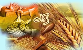 پرداخت بیش از ۱۱ میلیارد تومان زکات در مازندران