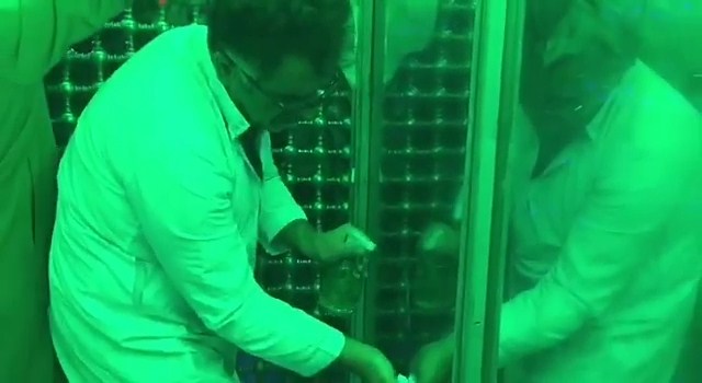 غبار روبی ضریح مطهرآستان مقدس امامزاده قاسم غبار روبی ضریح مطهرآستان مقدس امامزاده قاسم