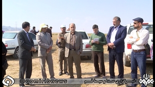 اجرای طرحهای بیابان زدایی با محوریت نهال کاری