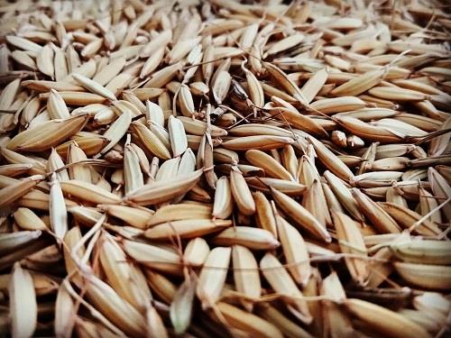 از رنج تا برنج