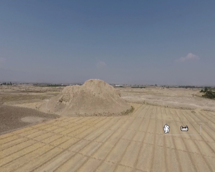 اهدا ستون مربوط به دوره هخامنشی به موزه فسا اهدا ستون مربوط به دوره هخامنشی به موزه فسا