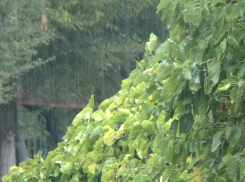 پایداری جوی استان تا اواسط هفته آینده