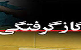 گاز مونوکسید کربن حادثه آفرید گاز مونوکسید کربن حادثه آفرید